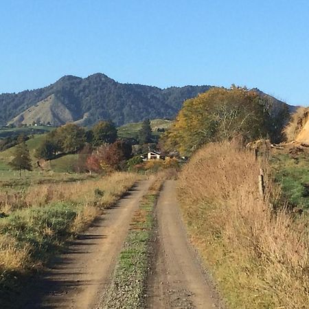 Вілла Waiotahe Dairy Farm Hideout Waiotahi Екстер'єр фото